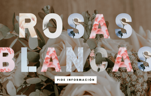 significado de las rosas en un funeral